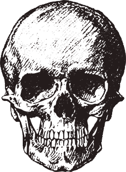 Jacksonville Horror Film Fest Skull